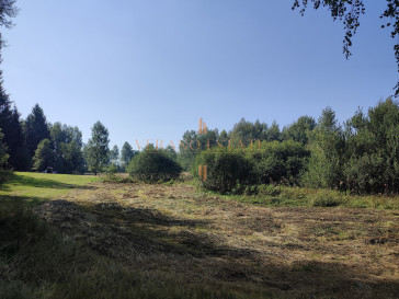 Działka Sprzedaż Sierczynek