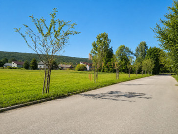 Dom Sprzedaż Pytowice