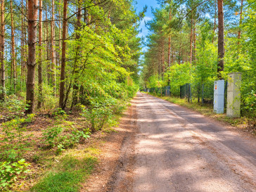 Działka Sprzedaż Włodzimierzów Szyszkowa